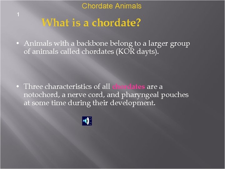 Chordate Animals 1 What is a chordate? • Animals with a backbone belong to