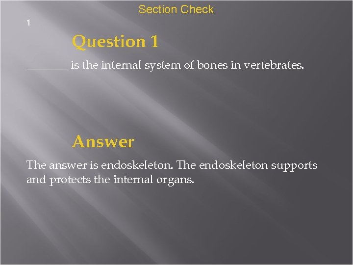 Section Check 1 Question 1 _______ is the internal system of bones in vertebrates.