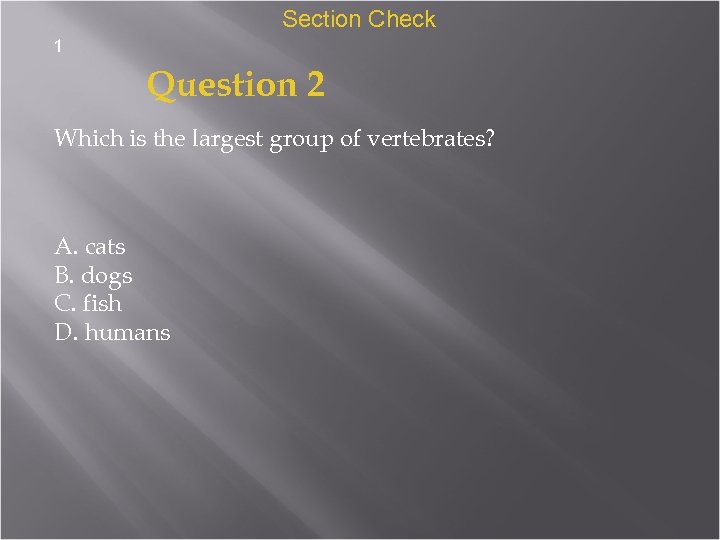 Section Check 1 Question 2 Which is the largest group of vertebrates? A. cats