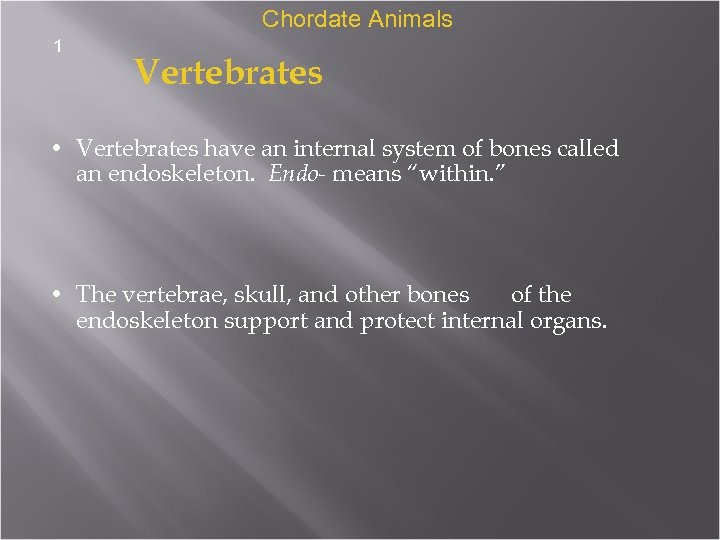 Chordate Animals 1 Vertebrates • Vertebrates have an internal system of bones called an