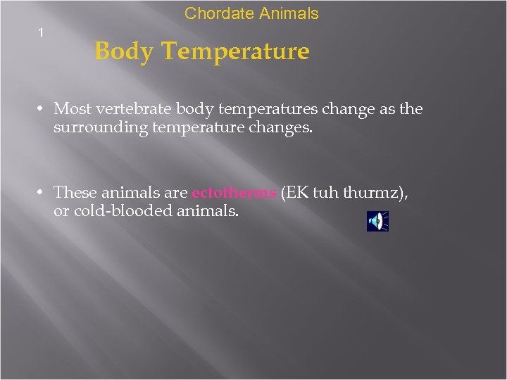 Chordate Animals 1 Body Temperature • Most vertebrate body temperatures change as the surrounding