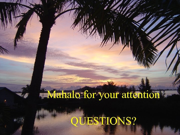 Mahalo for your attention QUESTIONS? 