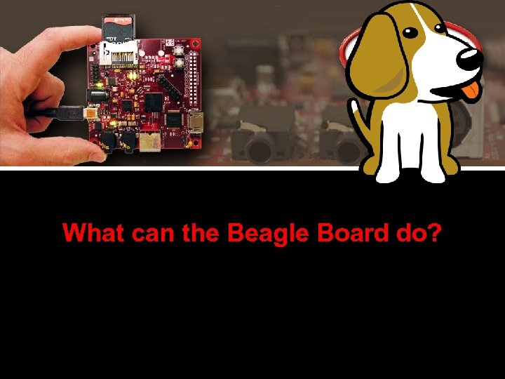 What can the Beagle Board do? 
