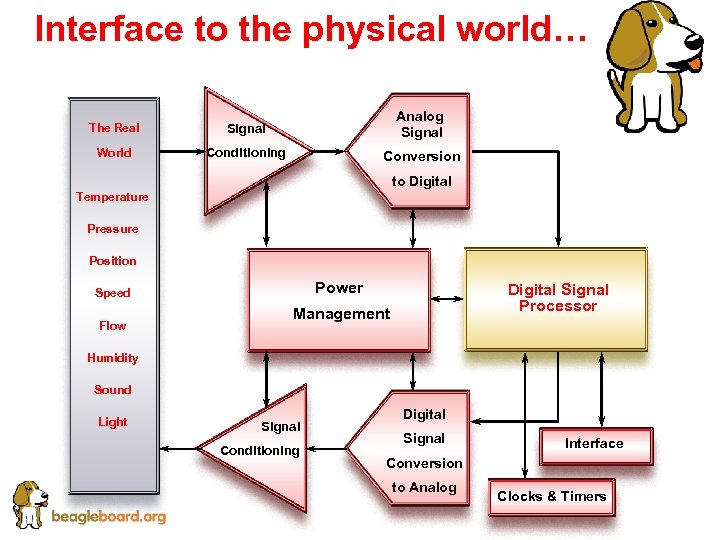 Interface to the physical world… The Real Signal Analog Signal World Conditioning Conversion to