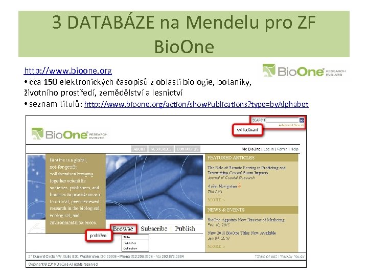 3 DATABÁZE na Mendelu pro ZF Bio. One http: //www. bioone. org • cca