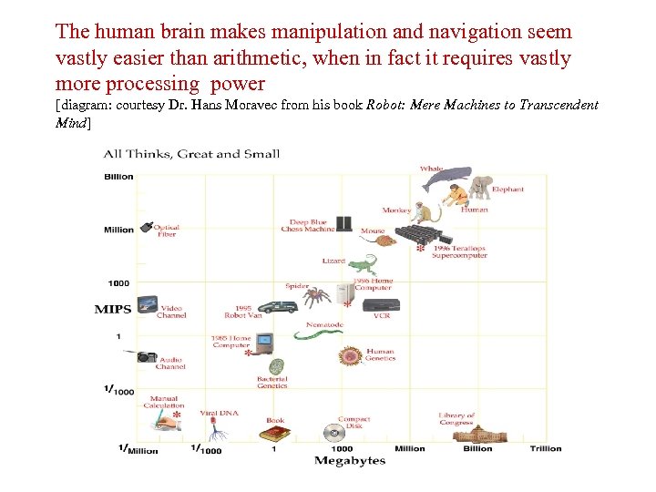 The human brain makes manipulation and navigation seem vastly easier than arithmetic, when in