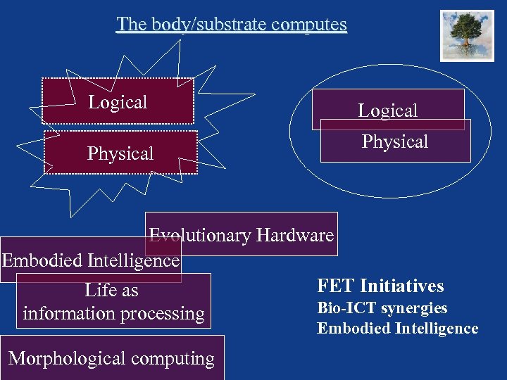 The body/substrate computes Logical Physical Evolutionary Hardware Embodied Intelligence FET Initiatives Life as Bio-ICT