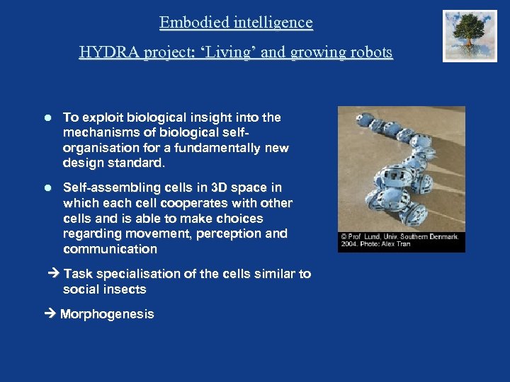Embodied intelligence HYDRA project: ‘Living’ and growing robots To exploit biological insight into the