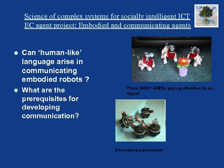 Science of complex systems for socially intelligent ICT EC agent project: Embodied and communicating