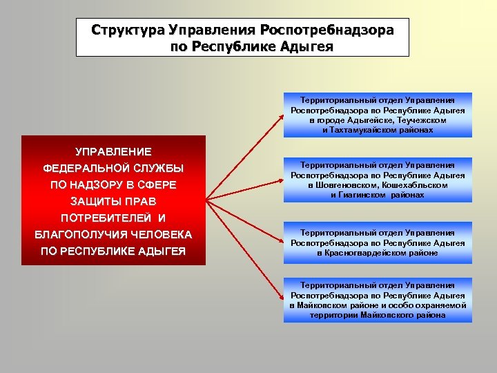 Территориальный роспотребнадзор. Структура Роспотребнадзора РФ схема. Структурная организация учреждений системы Роспотребнадзора. Структура Роспотребнадзора Федеральной службы субъекта РФ. Организация и деятельность службы Роспотребнадзора.