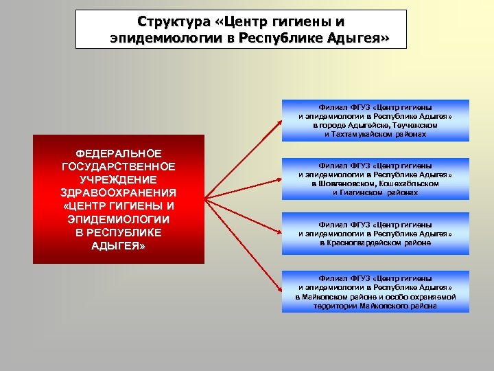 Цгэ. Структура центра гигиены и эпидемиологии. Структура ФБУЗ «центр гигиены и эпидемиологии в субъекте РФ». Центры гигиены и эпидемиологии структура задачи. Структуру центров гигиены.