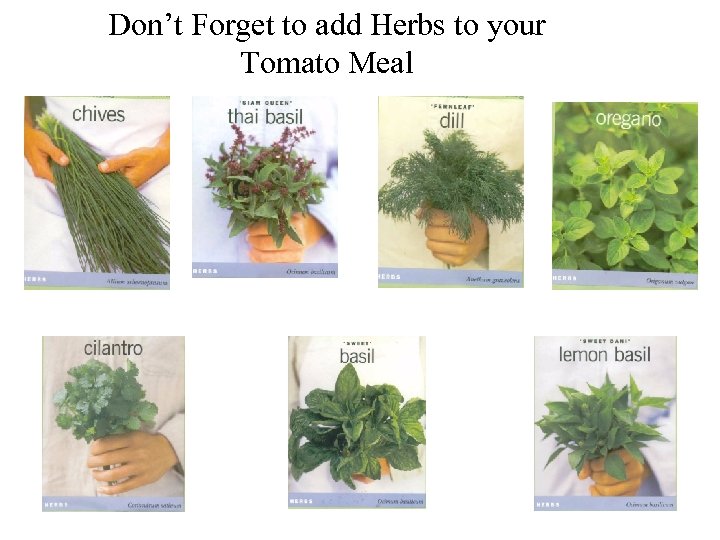 Don’t Forget to add Herbs to your Tomato Meal 