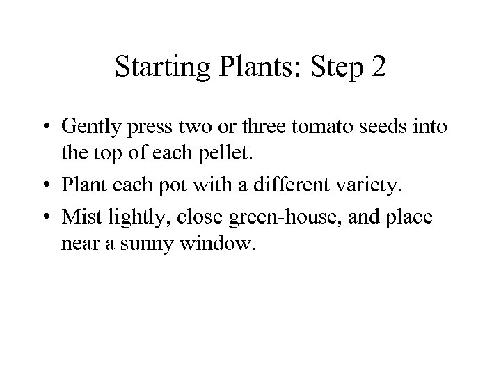 Starting Plants: Step 2 • Gently press two or three tomato seeds into the