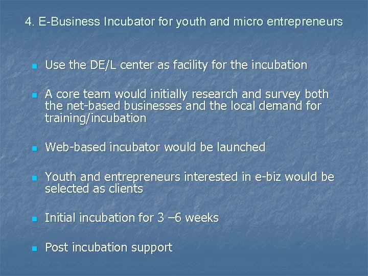 4. E-Business Incubator for youth and micro entrepreneurs n n Use the DE/L center