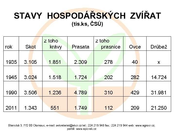 STAVY HOSPODÁŘSKÝCH ZVÍŘAT (tis. ks, ČSÚ) rok Skot z toho krávy z toho Prasata