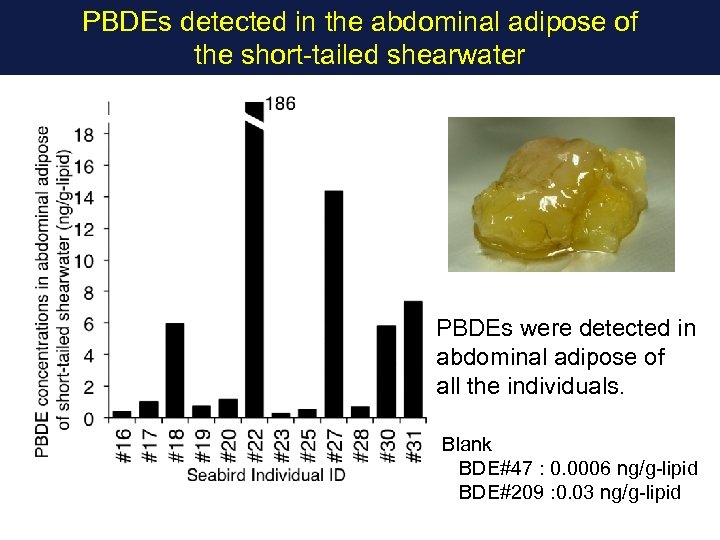 PBDEs detected in the abdominal adipose of the short-tailed shearwater PBDEs were detected in