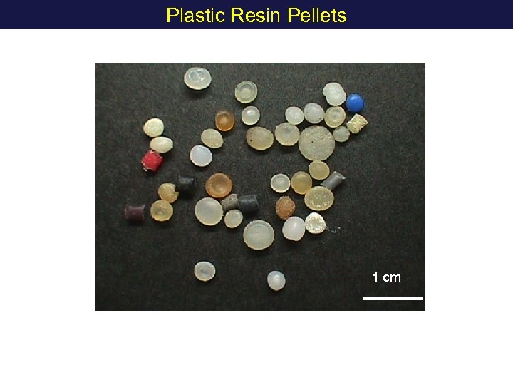 Plastic Resin Pellets 1 cm 