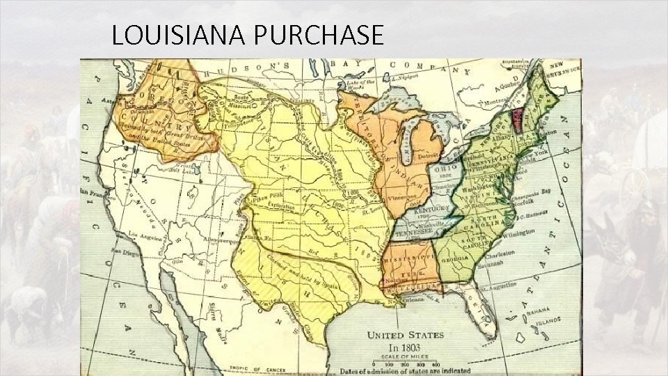 LOUISIANA PURCHASE 