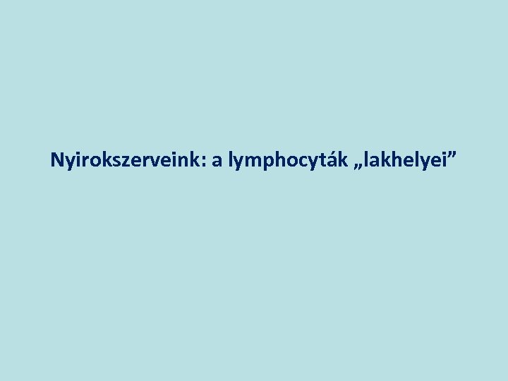 Nyirokszerveink: a lymphocyták „lakhelyei” 