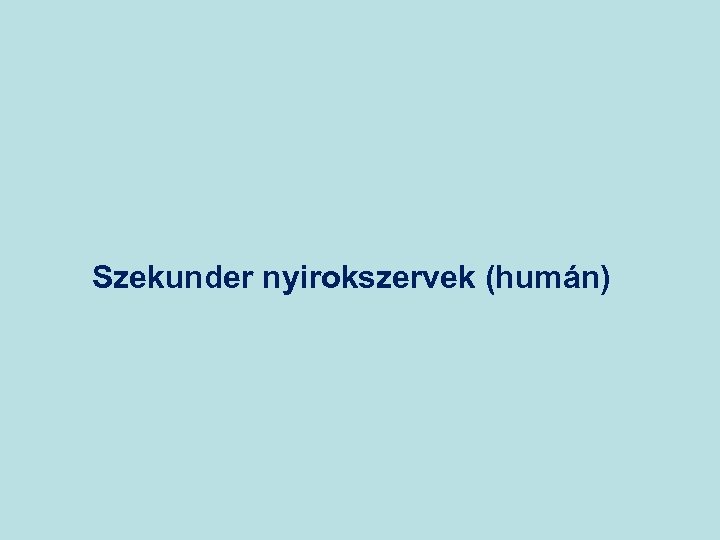 Szekunder nyirokszervek (humán) 