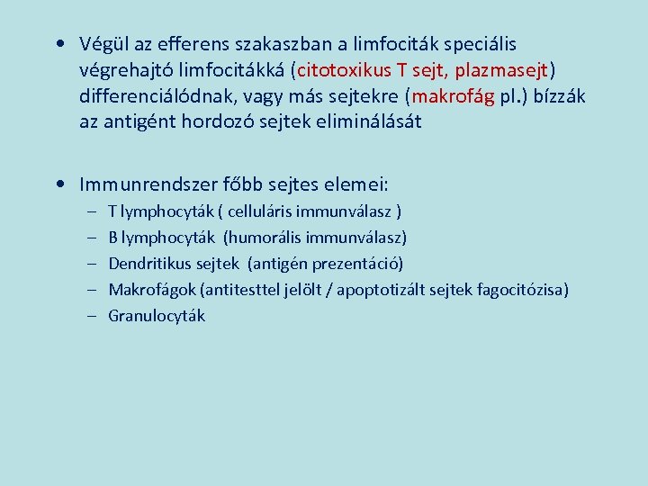  • Végül az efferens szakaszban a limfociták speciális végrehajtó limfocitákká (citotoxikus T sejt,