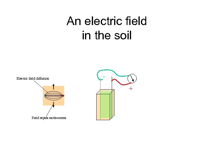 An electric field in the soil Electric field diffusion _ + Field repels earthworms