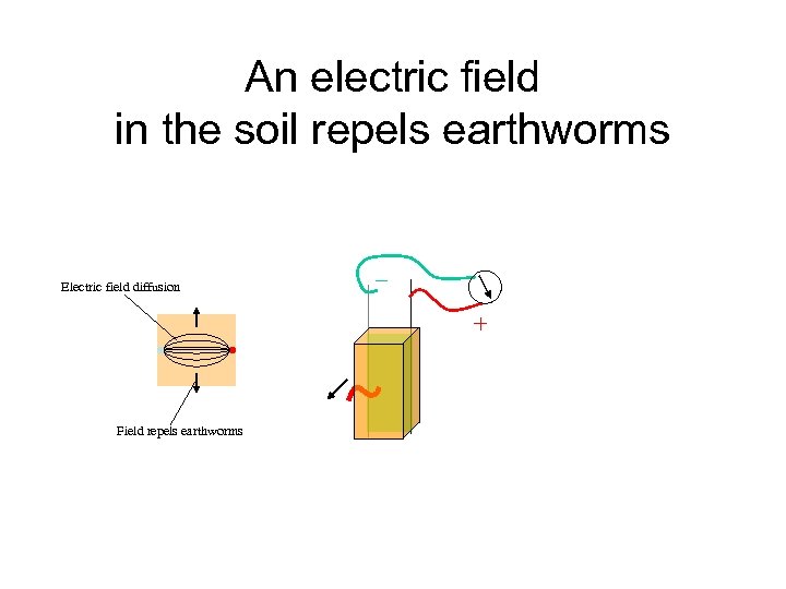 An electric field in the soil repels earthworms Electric field diffusion _ + Field