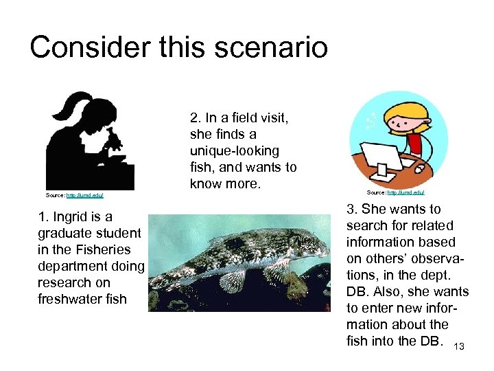 Consider this scenario 2. In a field visit, she finds a unique-looking fish, and
