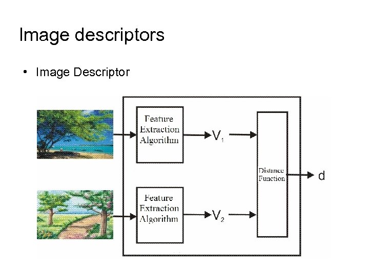 Image descriptors • Image Descriptor 
