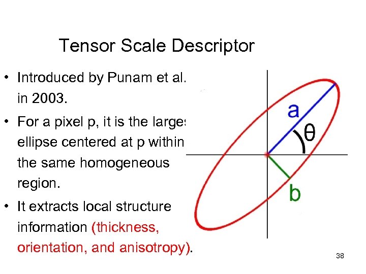Tensor Scale Descriptor • Introduced by Punam et al. in 2003. • For a