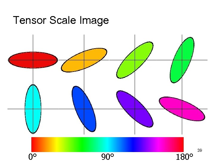 Tensor Scale Image 0° 90° 180° 39 