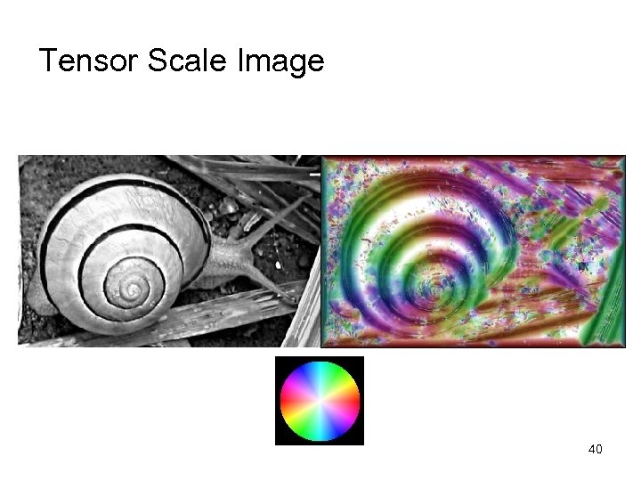 Tensor Scale Image 40 