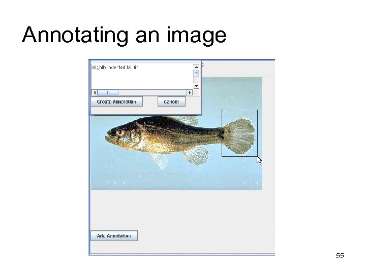 Annotating an image 55 