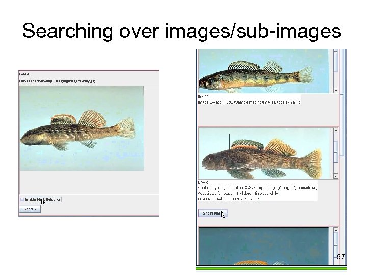 Searching over images/sub-images 57 