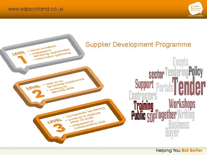 Supplier Development Programme Introduction to working with the Public Sector Introduction to tendering Using