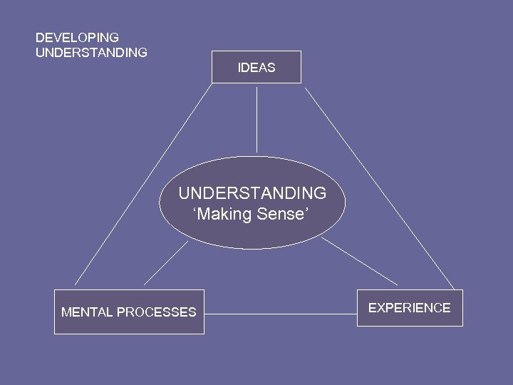 DEVELOPING UNDERSTANDING IDEAS UNDERSTANDING ‘Making Sense’ MENTAL PROCESSES EXPERIENCE 