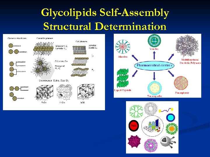 Glycolipids Self-Assembly Structural Determination 
