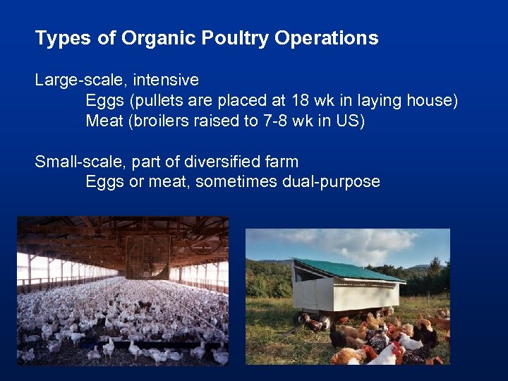 Types of Organic Poultry Operations Large-scale, intensive Eggs (pullets are placed at 18 wk