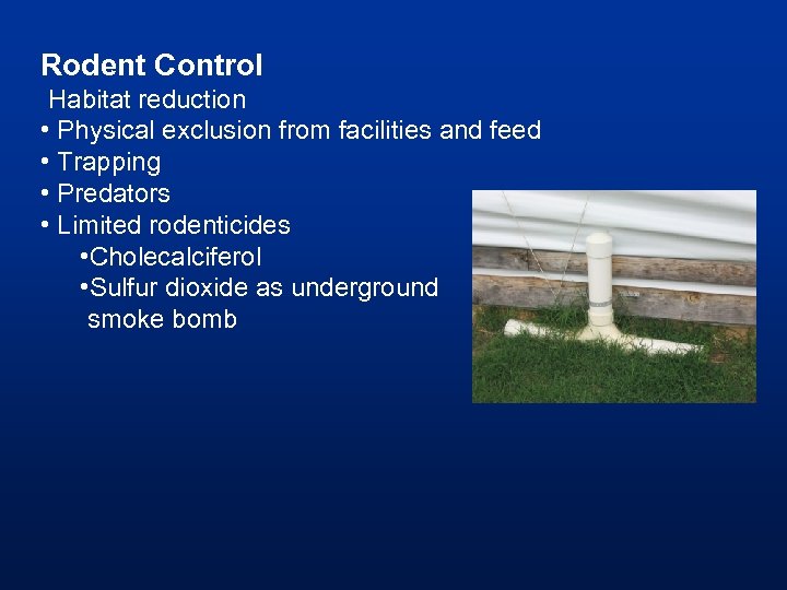 Rodent Control Habitat reduction • Physical exclusion from facilities and feed • Trapping •