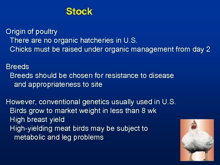 Stock Origin of poultry There are no organic hatcheries in U. S. Chicks must