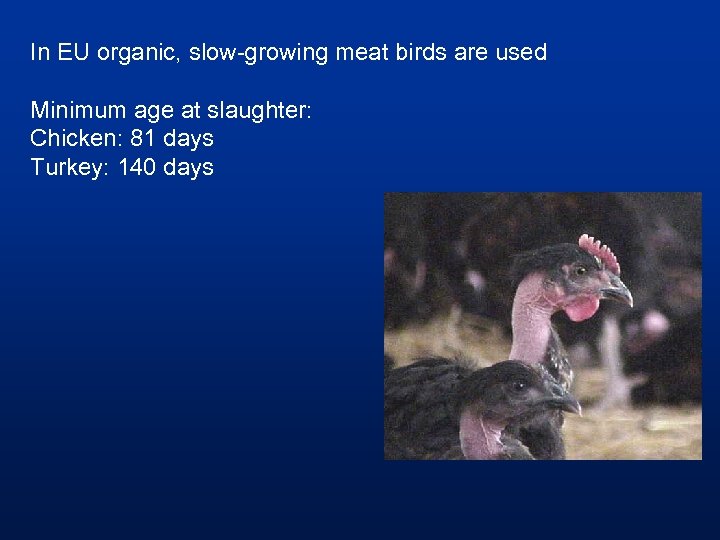 In EU organic, slow-growing meat birds are used Minimum age at slaughter: Chicken: 81