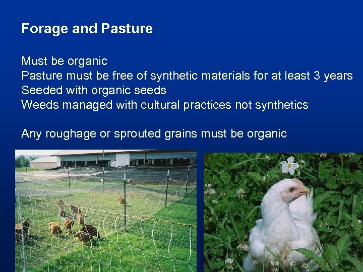 Forage and Pasture Must be organic Pasture must be free of synthetic materials for