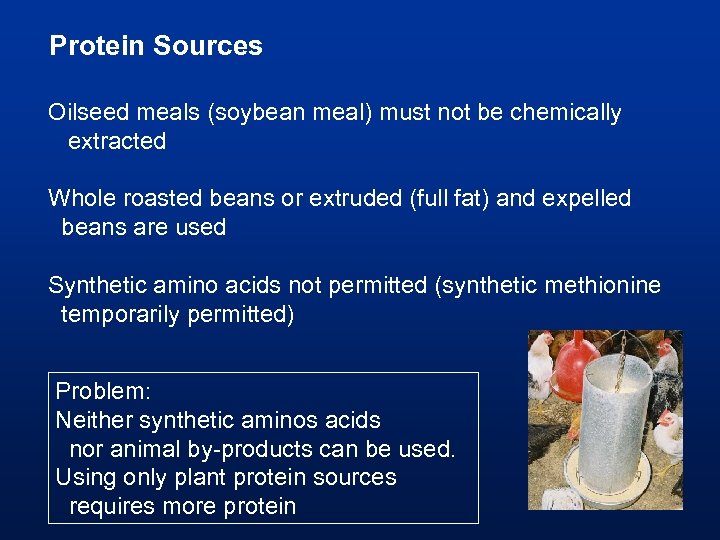 Protein Sources Oilseed meals (soybean meal) must not be chemically extracted Whole roasted beans