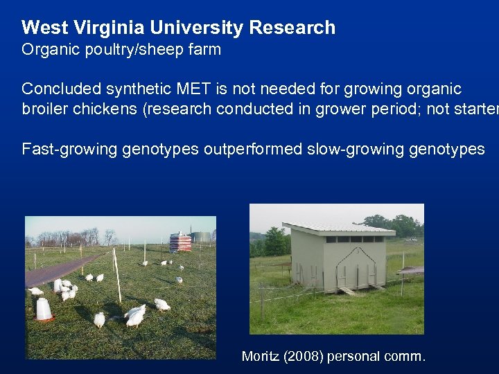 West Virginia University Research Organic poultry/sheep farm Concluded synthetic MET is not needed for