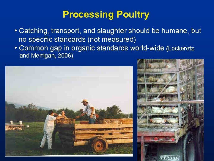 Processing Poultry • Catching, transport, and slaughter should be humane, but no specific standards