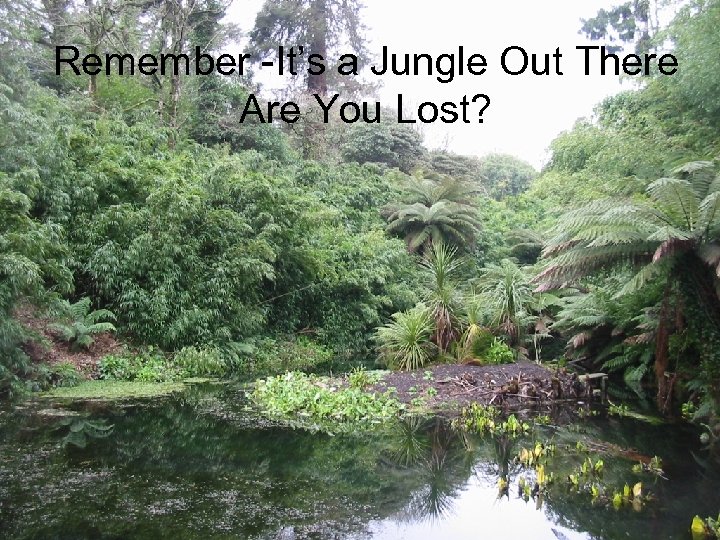 Remember -It’s a Jungle Out There Are You Lost? 