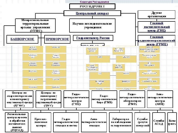 Морф строение