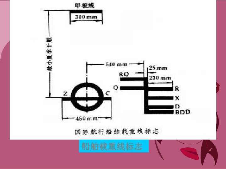 船舶载重线标志 