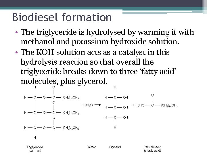 Biodiesel formation • The triglyceride is hydrolysed by warming it with methanol and potassium