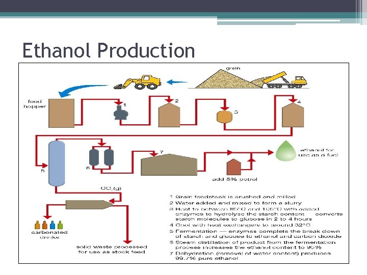 Ethanol Production 